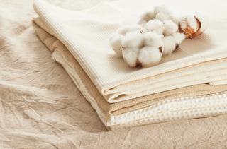 What Regular Cotton Doesn’t Want You to Know